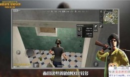 最新最全爆料视频,全方位解析事件真相与幕后黑幕